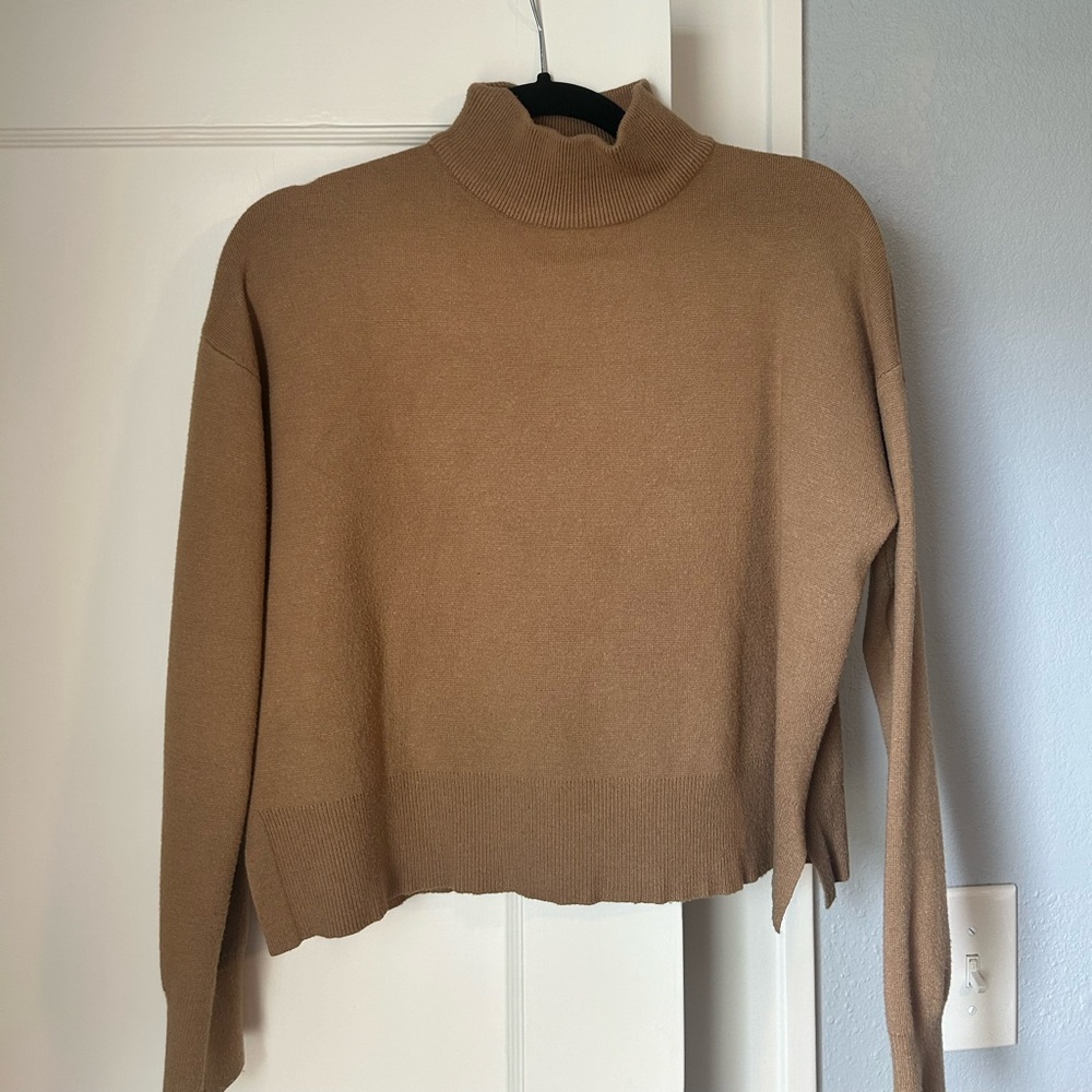 Neutral Turtleneck Sweater
